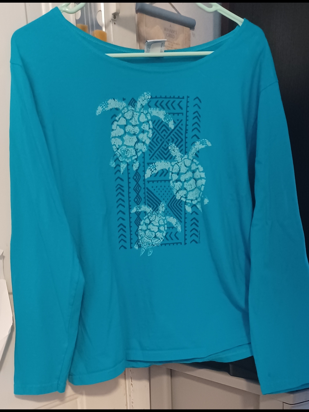 Women’s Sea Turtle Graphic Long-Sleeve Top - Teal
